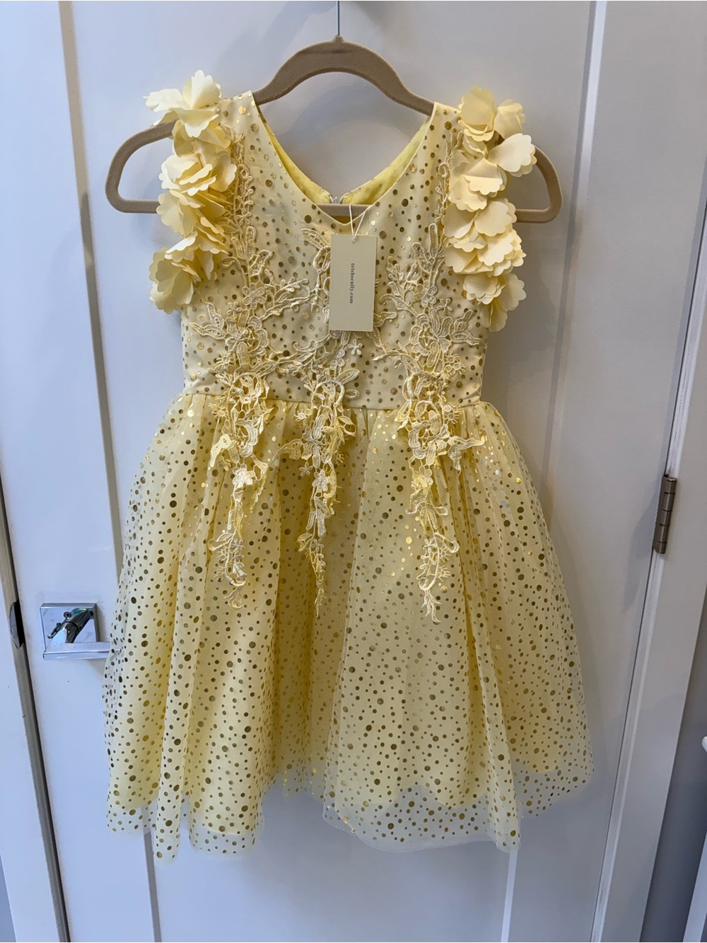 Yellow Floral Appliqué Party Dress for Girls